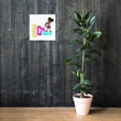 Load image into Gallery viewer, Brown Girl Genius Poster