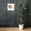 Load image into Gallery viewer, Brown Boy Brainy Poster