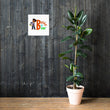 Load image into Gallery viewer, Brown Boy Brainy Poster