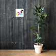 Load image into Gallery viewer, Brown Girl Genius Poster