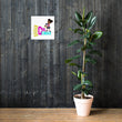 Load image into Gallery viewer, Brown Girl Genius Poster