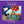 Load image into Gallery viewer, Olivia Travels: A Guide to Modes of Transportation - Paperback

